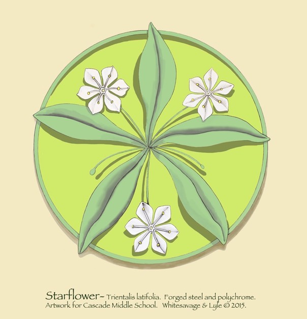 Starflowerlilligr